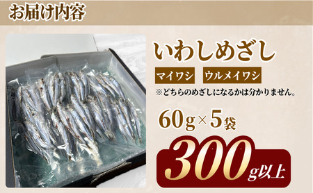 いわし めざし 60g×5袋  マイワシ ウルメイワシ いわし