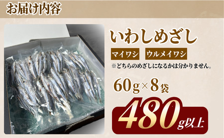 いわしめざし 60g× 8袋  マイワシ ウルメイワシ いわし