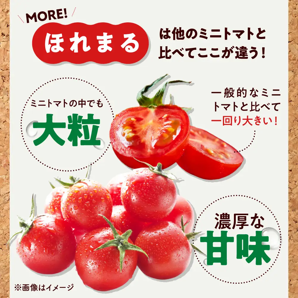  ミニトマト ほれまる 500g×4パック [AJAJ012] トマト 夏