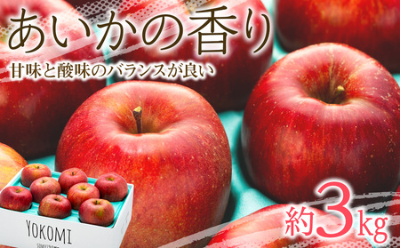 りんご あいかの香り 約3kg セット 2026年 令和8年度発送分 リンゴ 林檎 長野 フルーツ 果物 信州産 長野県産 特産 産地直送 おすすめ