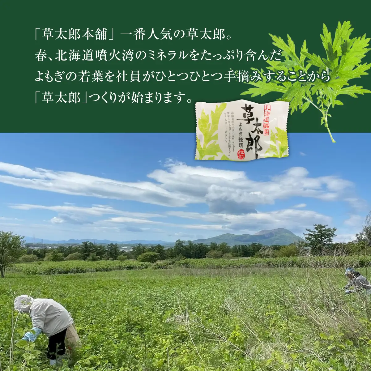 草太郎（まんじゅう）3個入 MROAF007