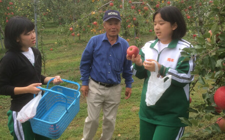 【先行予約】りんご 3kg 品種おまかせ 熊谷農園 果物 3キロ 米崎りんご 東北 岩手 陸前高田