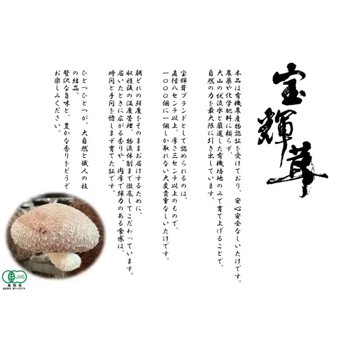 こだわり極めたしいたけ「宝輝茸」【しいたけ シイタケ 椎茸 ブランド オーガニック 極上 菌床 宝輝茸 shiitake 鳥取県 日吉津村】