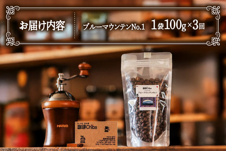 【3回定期便】 コーヒー豆 ブルーマウンテン 100g