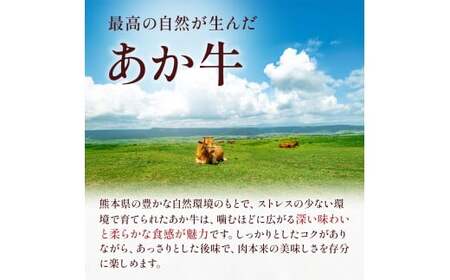 熊本県産 GI認証取得 くまもとあか牛 切り落とし 合計800g 牛肉 モモ バラ ウデ クビ