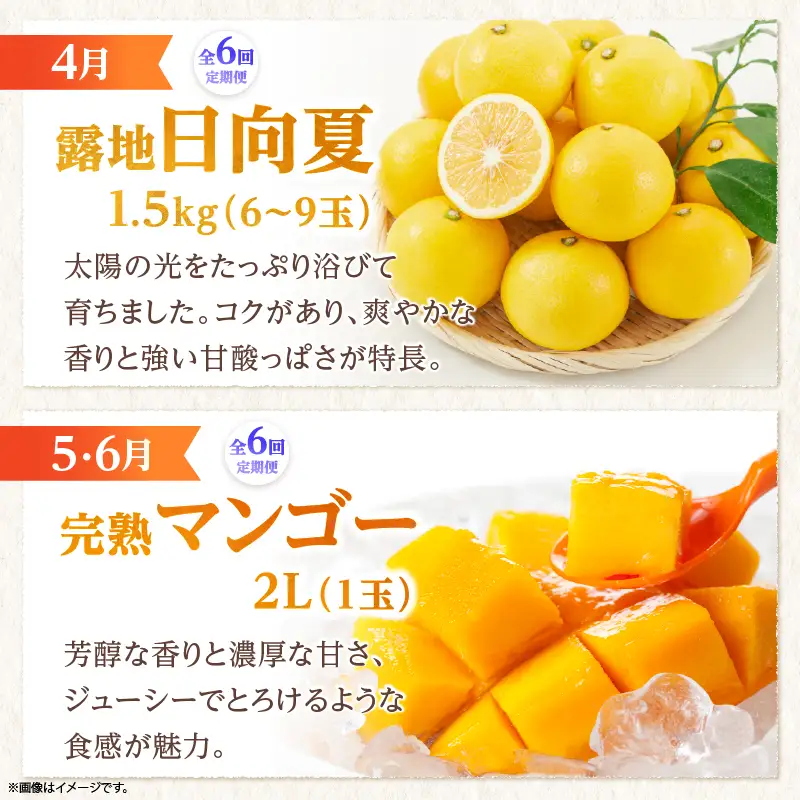 【全6回お届け】宮崎県綾町産 果物定期便 [X22]_A0113-0051