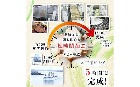 青森県産 冷凍帆立貝柱・冷凍ベビー帆立 (大) ・冷凍ベビー帆立 (小) 3種詰合せ 各1kg 合計3kg【ハケタ水産】 F21J-214