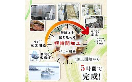 青森県産 冷凍帆立貝柱（玉冷）1kg ＆ 冷凍ベビー帆立（小）1kg 2種セット （合計2kg） 【ハケタ水産】 F21J-231