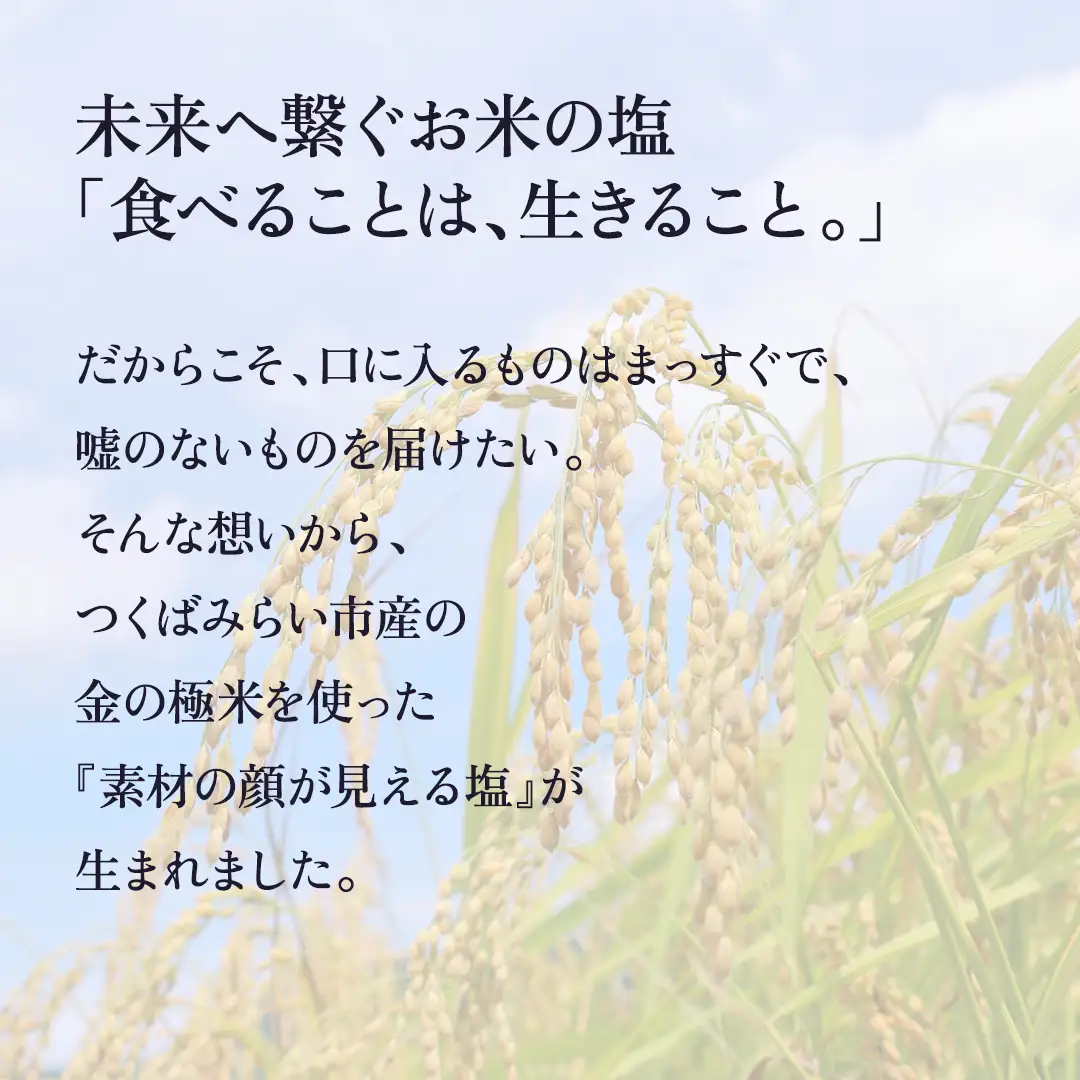 金の恵み米塩 MIRAI 米塩３本セット