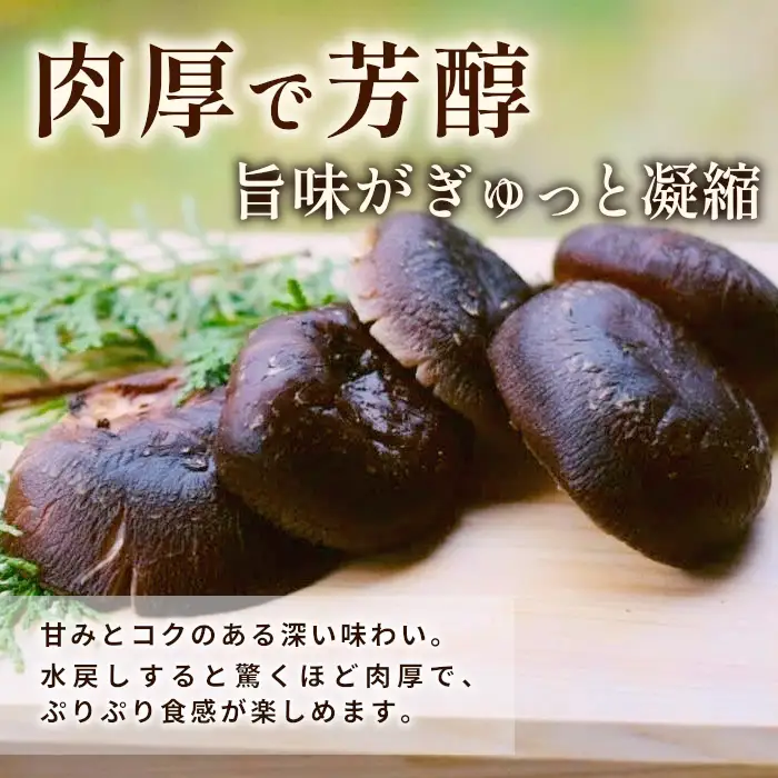 無農薬 原木栽培 肉厚 とよくに清流 ほししいたけ 40ｇ しいたけ 椎茸 シイタケ 原木椎茸 野菜 きのこ 無農薬栽培 干ししいたけ 乾燥しいたけ 干し椎茸 バーベキュー お試し 煮物 -347