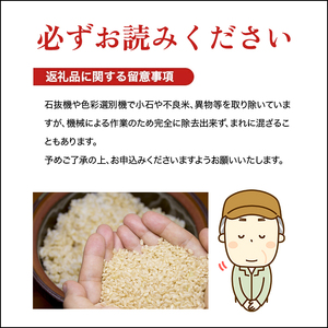 SB1026　令和7年産【白米】はえぬき　10kg(5kg×2袋) YA