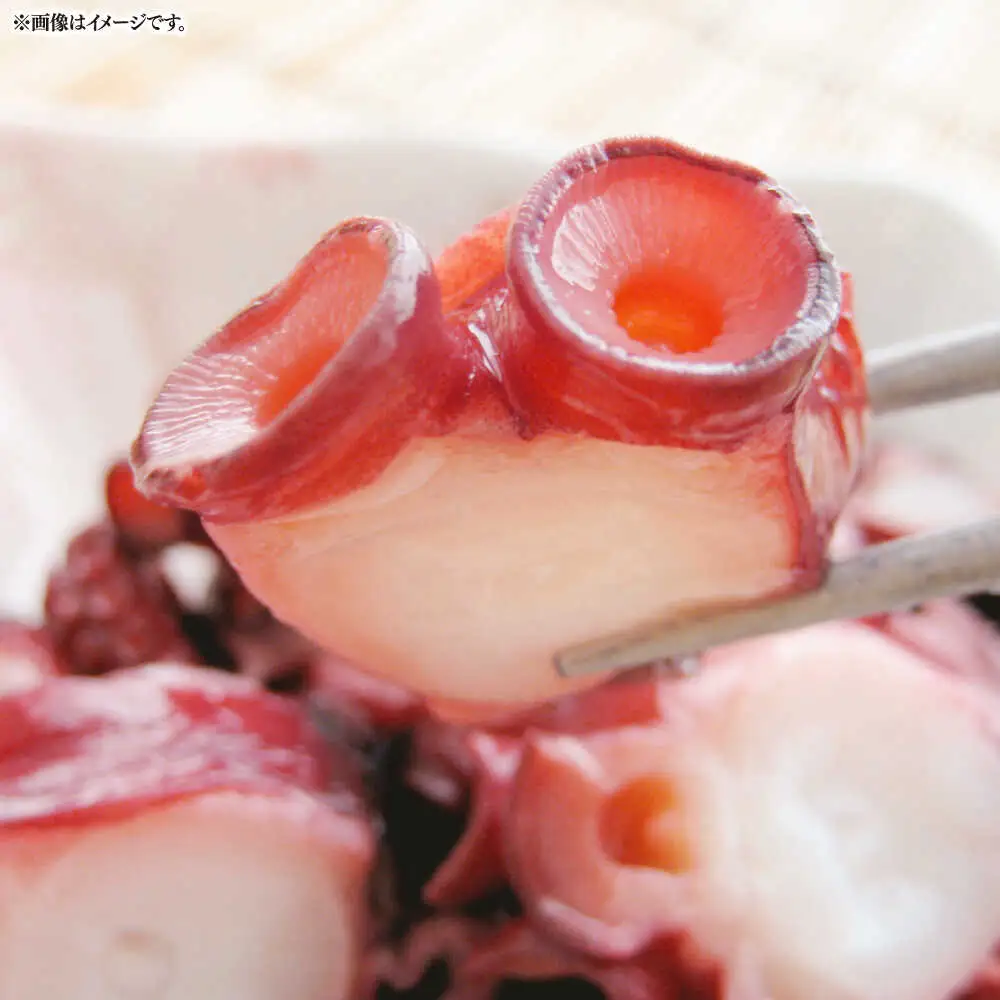 壱岐産 海鮮3種セット（烏賊素麺・たこの柔らか煮・旬の魚介類）《壱岐市》【神洸水産】 たこ タコ いか イカ 刺身 刺し身 海鮮 鮮魚 海産物　[JFI006]