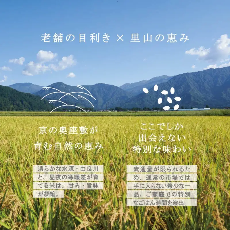 【毎月定期便１２回】 コシヒカリ 白米 5kg×12回 京の里山米 | お米
