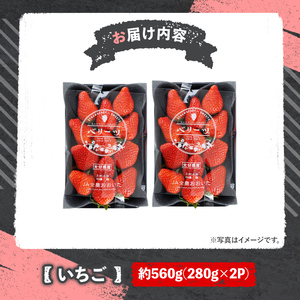 ＜10月1日から先行予約受付開始！＞＜2027年1月上旬～3月下旬の間に発送予定＞大粒いちご(計約560g・280g×2P)苺 イチゴ フルーツ 果物 くだもの 果実 ベリーツ【117900400】【Farm U.S.A.】