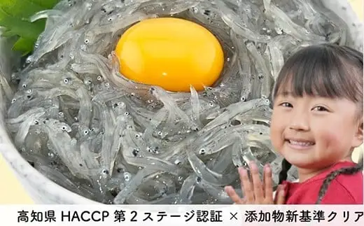 土佐のお刺身「生しらす」6個 タレなし【しらす】