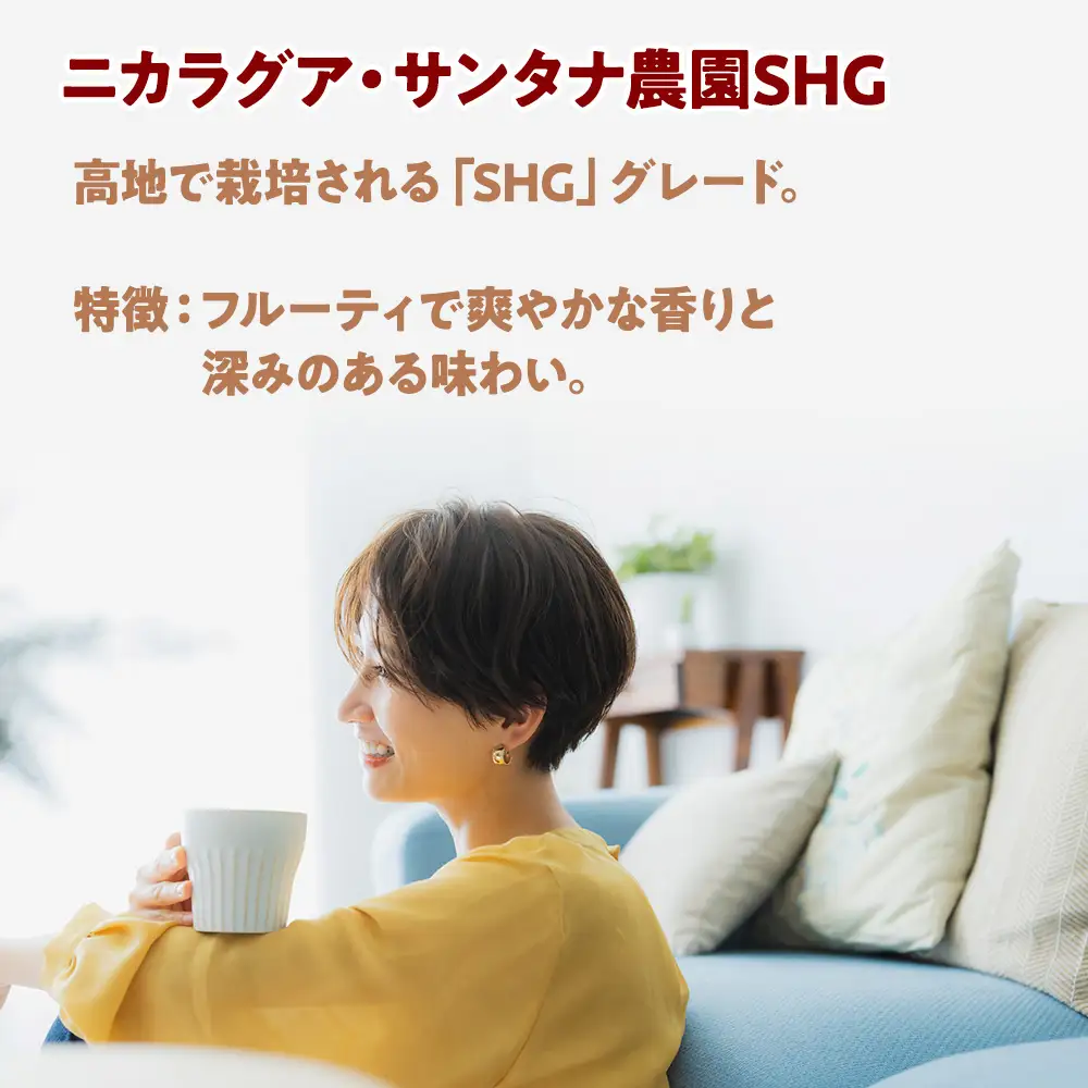 自家焙煎珈琲　ドリップバッグコーヒー ニカラグア・サンタナ農園SHG 12袋