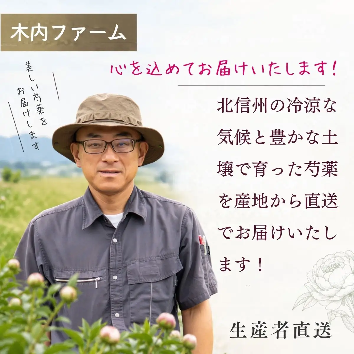 【先行予約】芍薬 切花 おまかせ2〜3品種 25本セット | 木内ファーム