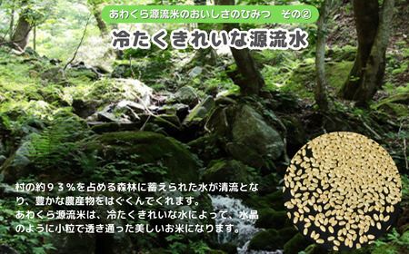 【令和7年産】あわくら源流米 コシヒカリ白米 20kg｜西粟倉村産・昼夜寒暖差が育む甘み｜ふるさと納税 K-ak-AEJA