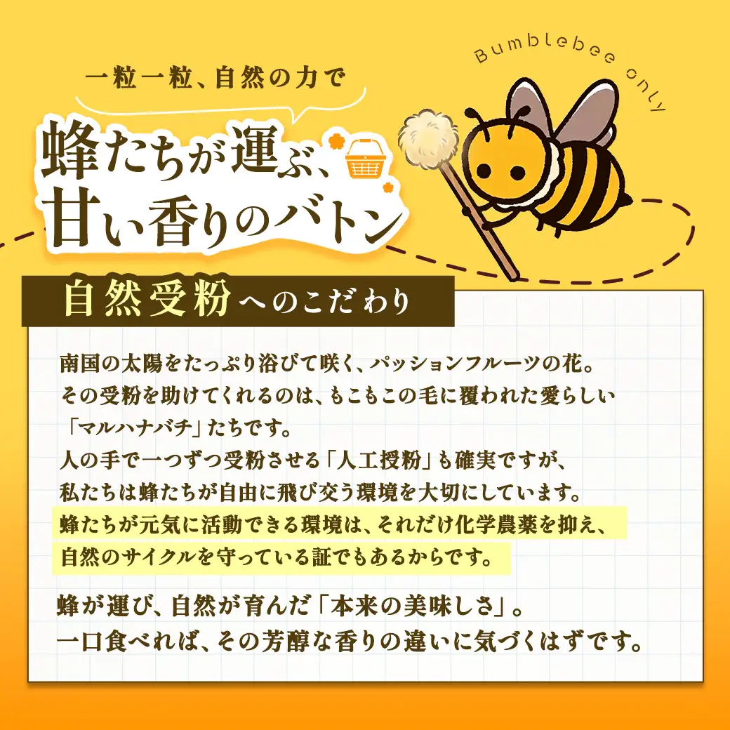 パッションフルーツ 家庭用 (バラ詰 1kg) 【7月～9月頃出荷開始】サイズ混合 リリコイ 果物 フルーツ デザート 人気 南国 デザート 奄美大島 宇検村 鹿児島 一どん