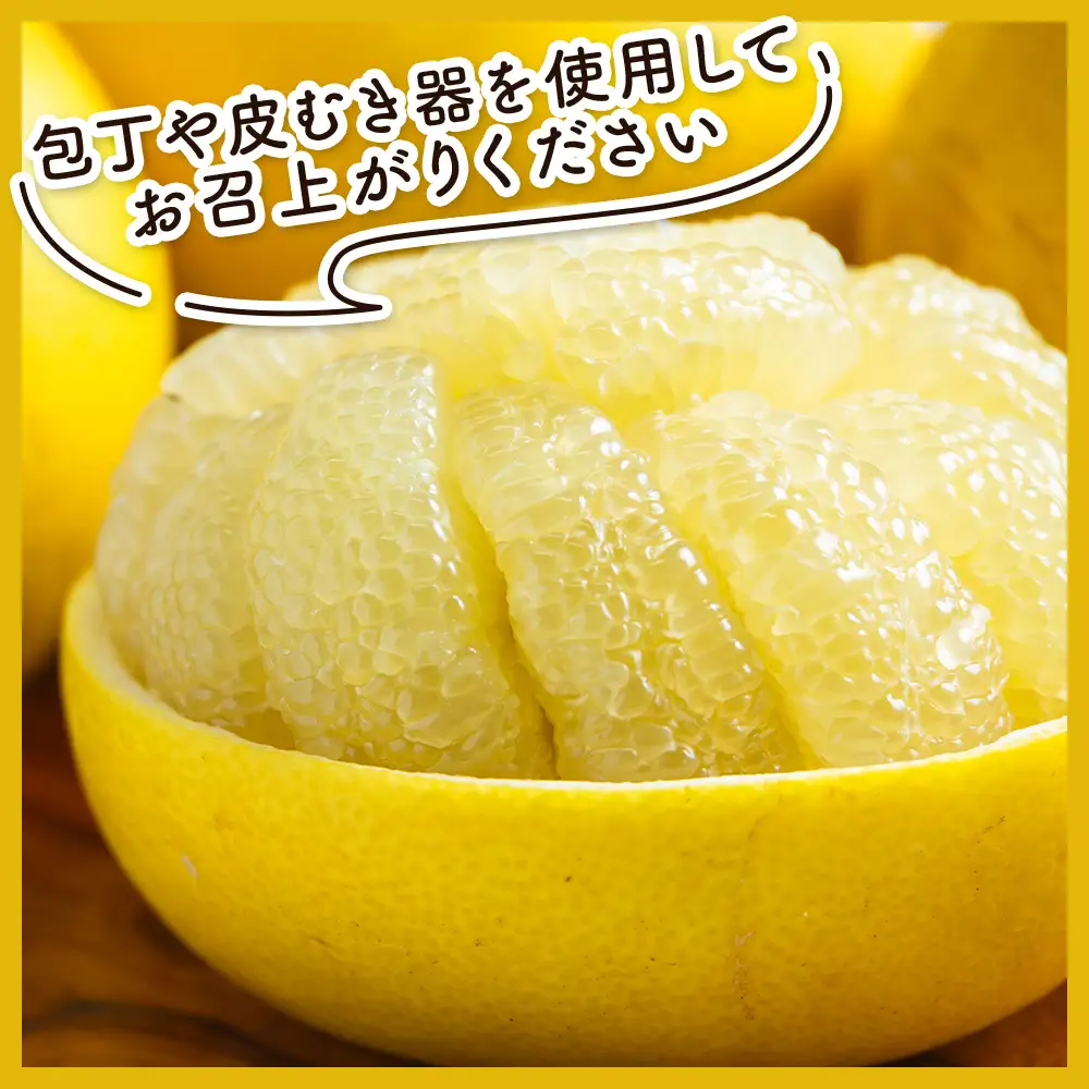 土佐文旦 家庭用 10kg （L〜2L混合） 文旦 nm-0009
