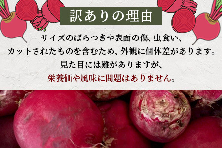 【訳あり】熊本県産 生 ビーツ 2kg スーパーフード 高栄養 びーつ beet 生 あさぎり農園 野菜 根菜 美容 健康 115-0610