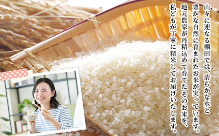 ＜令和7年産 西予市産 あきたこまち 精米 約10kg＞ お米 米 コメ こめ 白米 国産米 単一原料米 ご飯 穀物 10キロ お弁当 おにぎり 特産品 愛媛県産 株式会社宇都宮米穀 愛媛県 西予市【常温】『最短10営業日以内に順次出荷予定』NKU0006