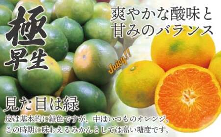福岡県ブランド みかん 「早味かん」 3kg 【2026年9月下旬～10月下旬発送予定】 蜜柑 ミカン 柑橘 果物 フルーツ 九州 福岡県 香春町 冷蔵