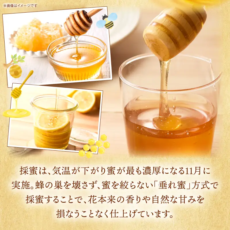 日本みつばち 高千穂の純粋蜂蜜 75g×3本|蜂蜜 はちみつ 日本みつばち 純粋蜂蜜 国産蜂蜜 天然蜂蜜 垂れ蜜 蜜蜂 希少 蜂蜜 濃厚 花 伝統製法 特産品 ふるさと納税 返礼品 宮崎県 高千穂町 | _Tk005-099-0753