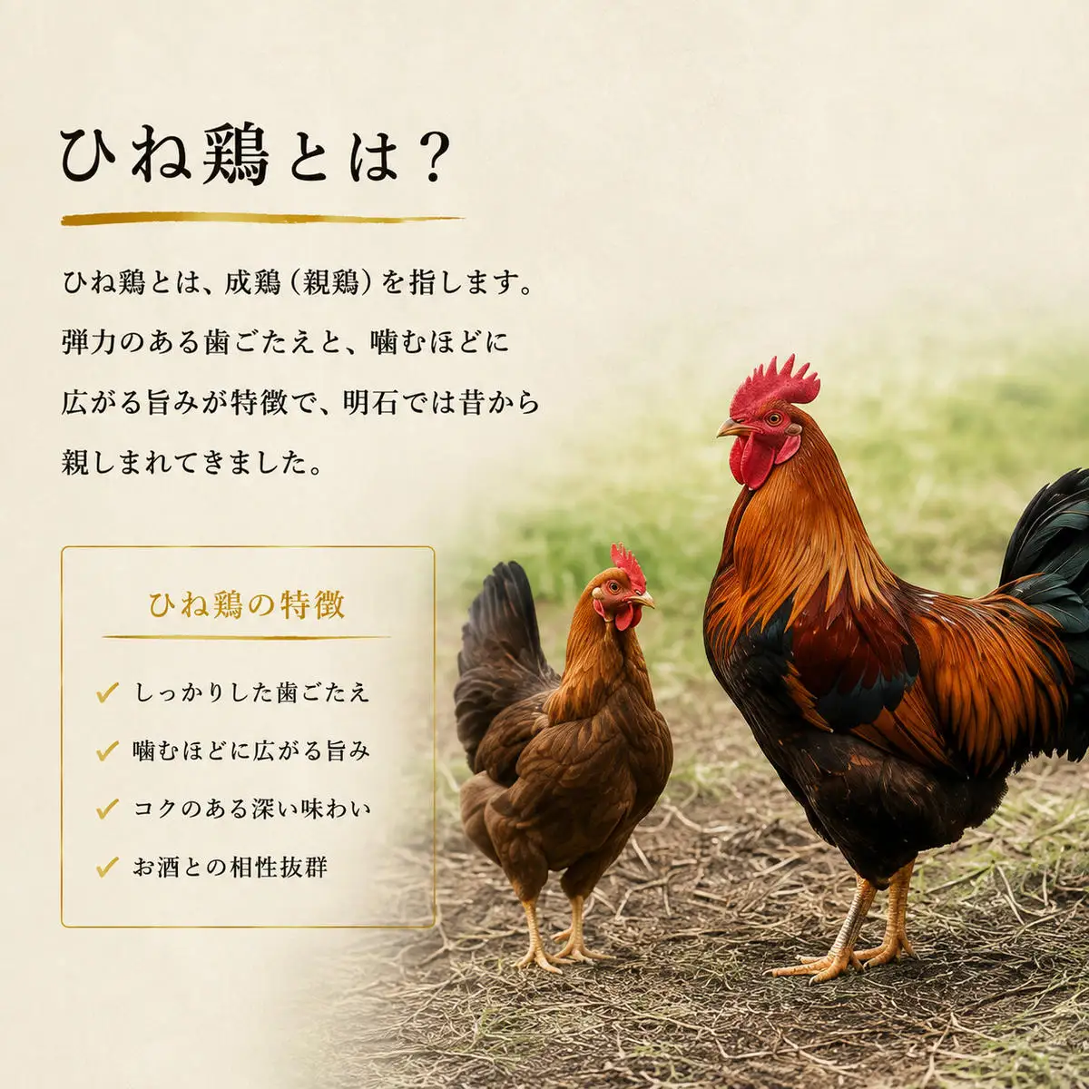 まるなかのひねぽん 4パック お肉 鶏肉 惣菜 