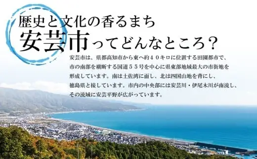 千光士農園の土佐文旦ジュース（化粧箱入り）2本セット