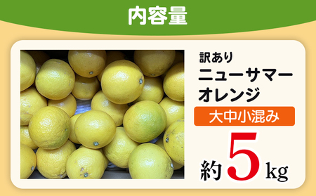 ＜木下さんちのニューサマーオレンジ 訳あり 約5kg（大中小サイズ混み）＞ 柑橘類 日向夏 ミカン 蜜柑 果物 くだもの フルーツ 国産 特産品 木下農園 愛媛県 西予市【常温】『2027年4月上旬～5月中旬に順次出荷』MKS0007