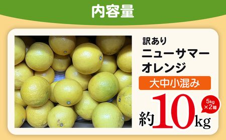 ＜木下さんちのニューサマーオレンジ 訳あり 約10kg（大中小サイズ混み）＞ 柑橘類 日向夏 ミカン 蜜柑 果物 くだもの フルーツ 国産 特産品 木下農園 愛媛県 西予市【常温】『2027年4月上旬～5月中旬に順次出荷』MKS0008