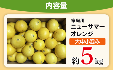 ＜木下さんちのニューサマーオレンジ 家庭用 約5kg（大中小サイズ混み）＞ 柑橘類 日向夏 ミカン 蜜柑 果物 くだもの フルーツ 国産 特産品 木下農園 愛媛県 西予市【常温】『2027年4月上旬～5月中旬に順次出荷』MKS0009