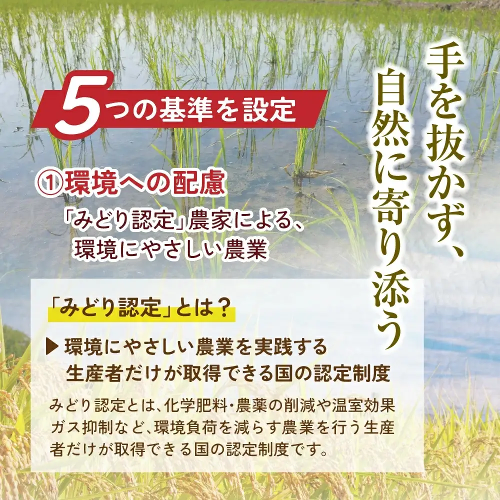 【定期便】大玉村産厳選米「あだたらの恵」　（品種：コシヒカリ）30kg（5kg×6回） | on-ak-5kg-t6-r7
