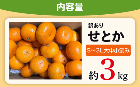 ＜木下さんちのせとか 訳あり 約3kg（S～3L大中小混み）＞ 訳アリ 家庭用 自宅用 柑橘 ミカン みかん 蜜柑 果物 くだもの フルーツ 国産 特産品 木下農園 愛媛県 西予市【常温】『2027年2月下旬～3月下旬に順次出荷』MKS0010
