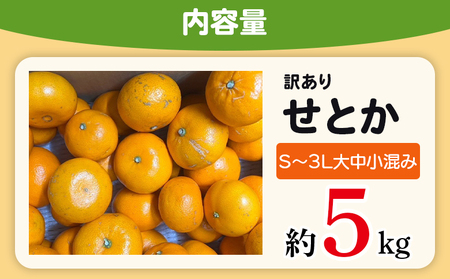 ＜木下さんちのせとか 訳あり 約5kg（S～3L大中小混み）＞ 訳アリ 家庭用 自宅用 柑橘 ミカン みかん 蜜柑 果物 くだもの フルーツ 国産 特産品 木下農園 愛媛県 西予市【常温】『2027年2月下旬～3月下旬に順次出荷』MKS0011