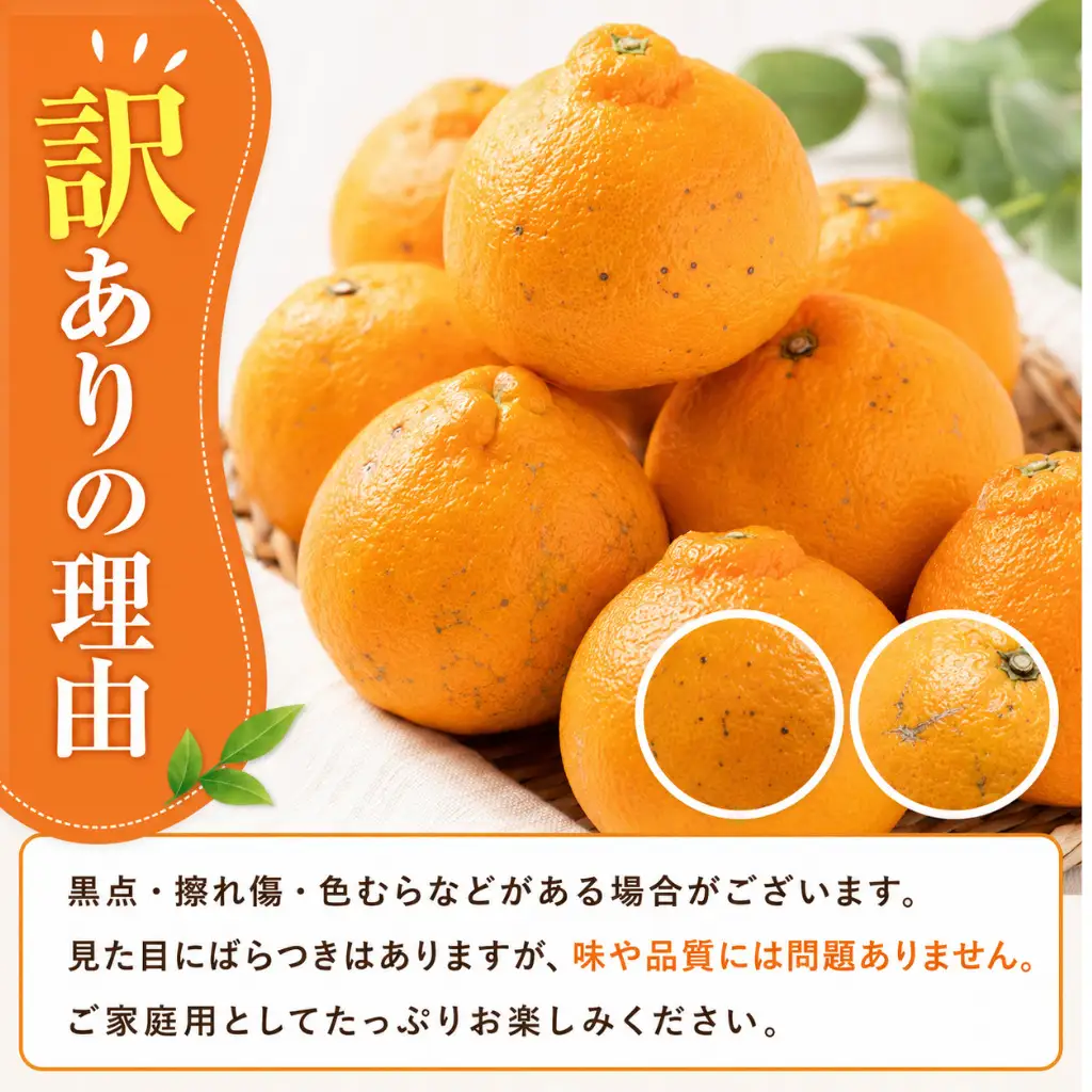 【2月上旬より順次発送】デコポン 訳あり 3kg 柑橘 デコポン