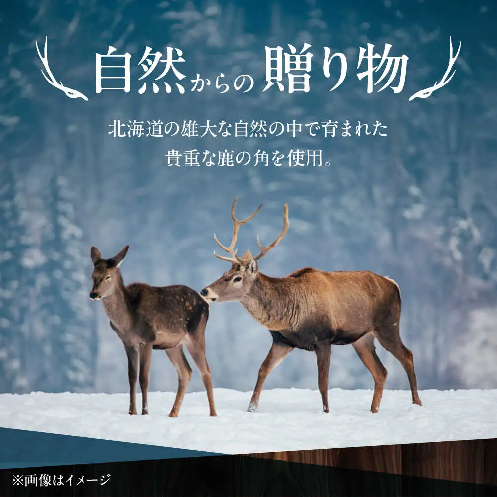 北の職人技 鹿の角 ピアス（ピンク） 《喜茂別町》【EBIJIN】 鹿 鹿角 アクセサリー ピアス ファッション 手作り ハンドメイド 工芸 工芸品[AJAO115]