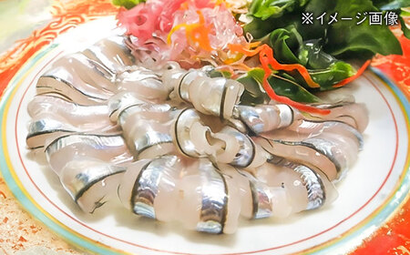 朝獲れきびなご刺身セット(きびなご丸ごと16尾パック×5、きびなご手引刺身16尾パック×5） 五島市/有限会社心誠[PCG018]
