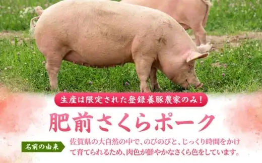 肥前さくらポーク 切り落とし 500g × 2パック 計 1kg 切り落とし 豚 豚肉 吉野ヶ里町/上場食肉[FDQ006]