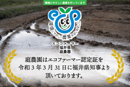 【先行予約】【令和8年産 新米】【3ヶ月定期便】【白米】越前大野産 エコファーマー認定農家栽培こしひかり 5kg × 3回 計15kg 【2026年10月より順次発送】 [C-001007_01]