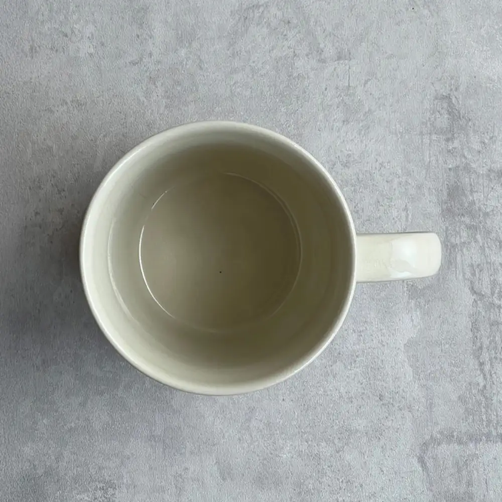 【瀬戸焼】 大花日和 マグ 2個 【カネ三商店】 / 食器 マグカップ コーヒーカップ ギフト / 瀬戸市[BBDD099]