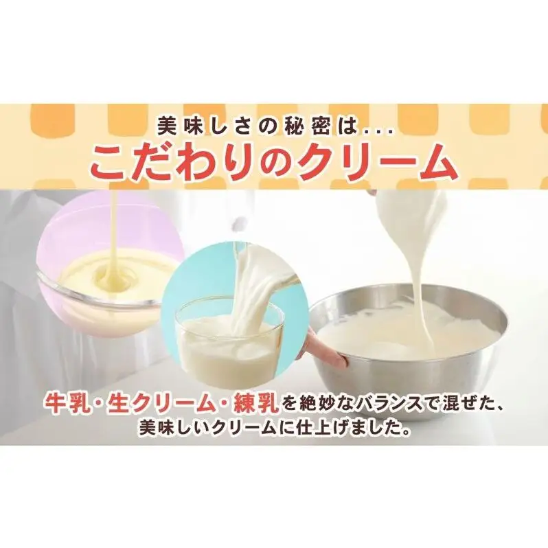 定期便 3ヶ月連続 クリームボックス セット 13個入 郡山 発祥 ご当地 グルメ 菓子パン パン クリームパン 菓子 生クリーム 名物 人気 土産 ソウルフード スイーツ おやつ 軽食 お取り寄せ 冷凍 ミッキーチェーン 福島県 郡山市