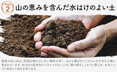 【先行予約】白米 徳島ふるさと応援米 5kg 米