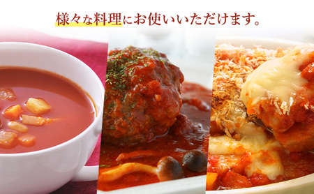 南郷トマトピューレ 250g×6パック とまと 料理 煮込み料理 アレンジ ソース パスタ  リゾット スープ 福島県 南会津 只見町
