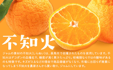 しらぬひとりんごのゴロゴロジャム 1個 (1個250g) ジャム