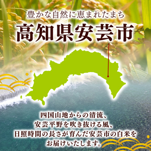 令和8年産 新米 こしひかり 5kg 3回定期便 新米