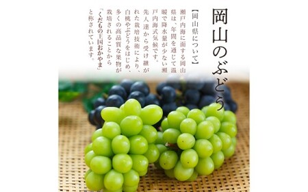 【先行予約】岡山県産 瀬戸ジャイアンツ2房【2026年9月上旬～9月下旬まで順次発送予定】（1房480g以上）約1kg 化粧箱入り【ぶどう 果物 フルーツ 国産 人気 おすすめ 岡山県 倉敷市】