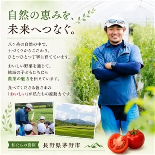 【先行受付】蓼科野菜　八ヶ岳産高原育ちのフルーツミニトマト サマー千果 約2kg【配送不可地域：離島】【1645910】