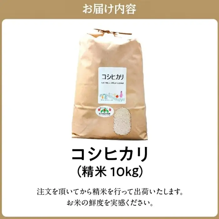 コシヒカリ精米 10kg [ コシヒカリ ] / 002308D